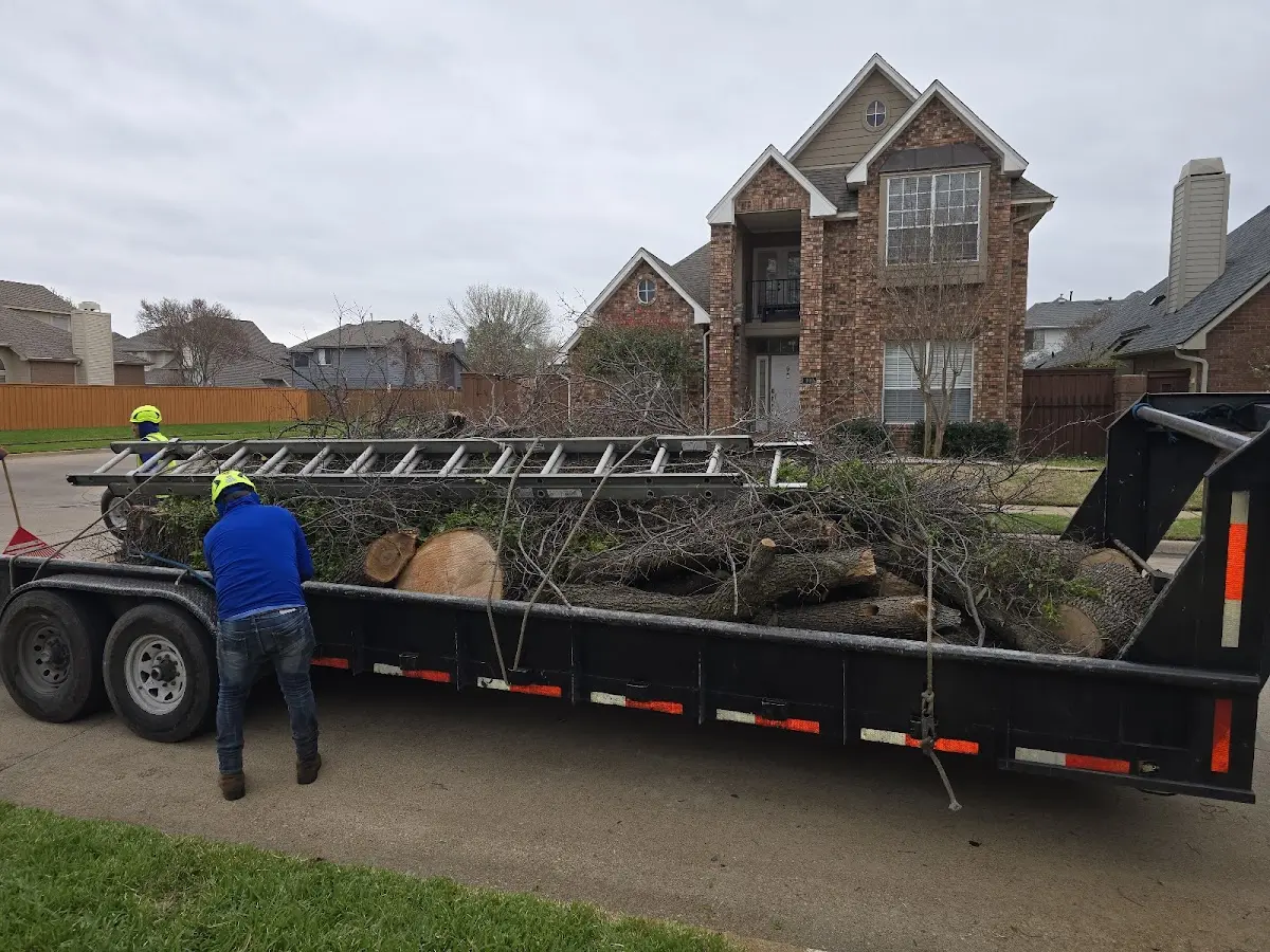 Expert Tree Pest Control with proper safety equipment in Glenwood City